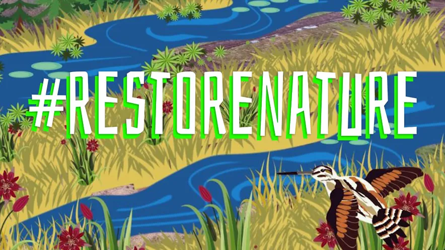 _RestoreNature_insta_foto.JPG